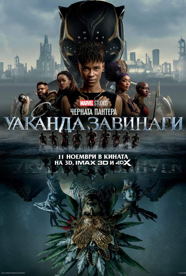 Черната пантера - Уаканда завинаги poster