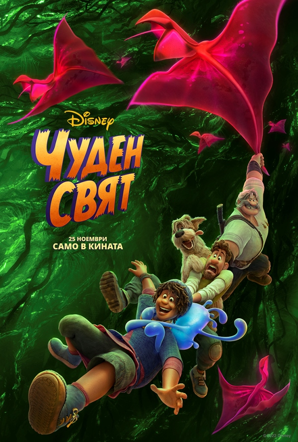 Чуден свят poster