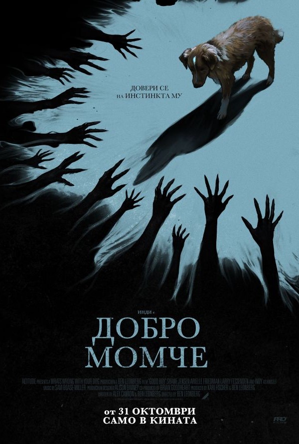 Добро момче poster