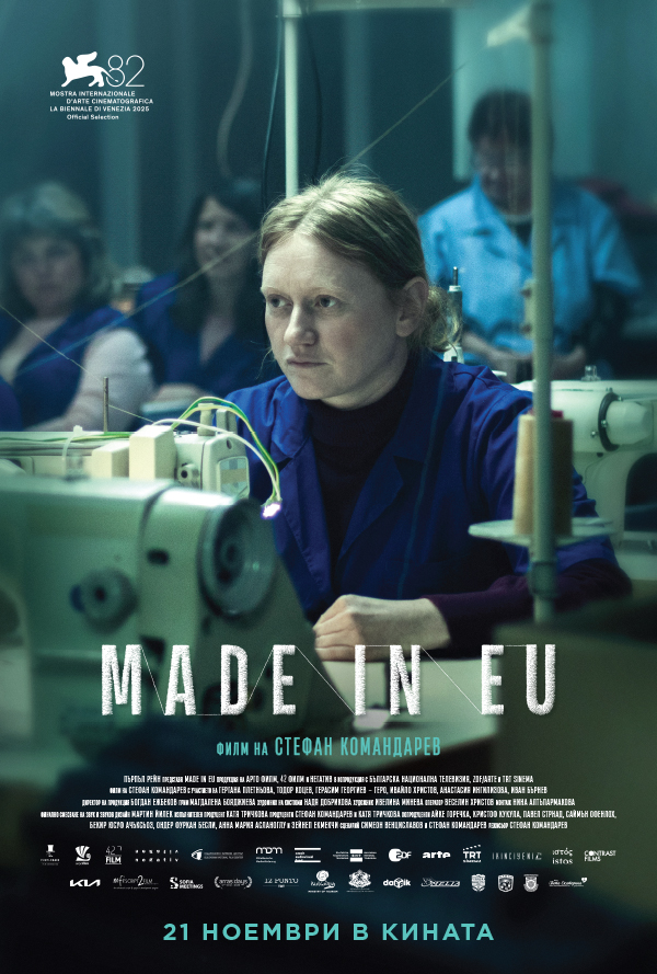 Made in EU poster